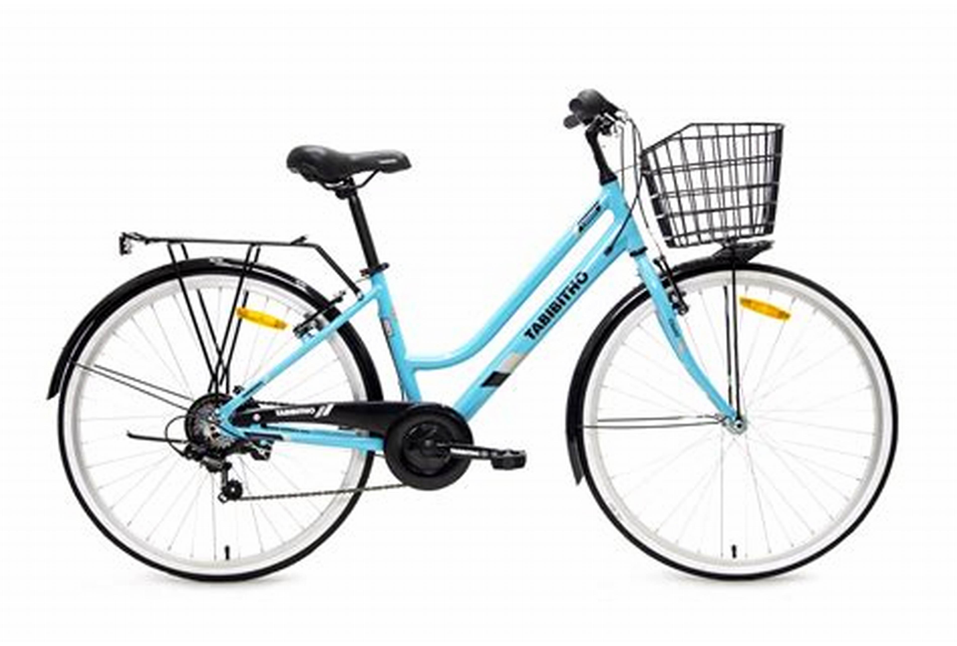 Harga Sepeda Anak Perempuan